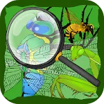 Hidden Insects | Indus Appstore | App Icon