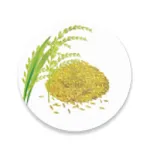 ePACS Bihar Grains | Indus Appstore | App Icon