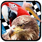 Bird Race 3D | Indus Appstore | App Icon