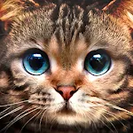 Kitty Cat Live Wallpaper | Indus Appstore | App Icon