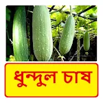 ধুন্দুল চাষের পদ্ধতি | Indus Appstore | App Icon