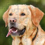 Dogs jigsaw puzzles | Indus Appstore | App Icon