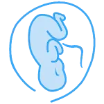 Pregnancy Calculator | Indus Appstore | App Icon