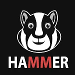 Hammer Hamtser VPN : Proxy | Indus Appstore | App Icon