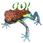 FrogGO! | Indus Appstore | App Icon