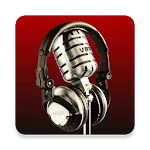 Voice Record Pro | Indus Appstore | App Icon