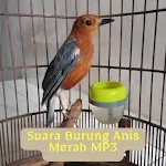 Suara Burung Anis Merah MP3 | Indus Appstore | App Icon