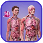 Human Anatomy : Female | Indus Appstore | App Icon