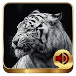 Animal Ringtones 200 | Indus Appstore | App Icon