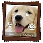 Puppy Live Wallpaper | Indus Appstore | App Icon