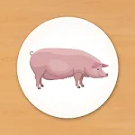 Animal Card Matching | Indus Appstore | App Icon