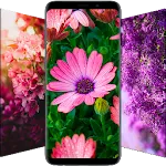 Flower Wallpapers - Flowrify | Indus Appstore | App Icon