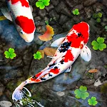 Koi Fish Live Wallpapers HD | Indus Appstore | App Icon