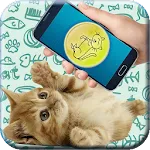 Cat translator prank | Indus Appstore | App Icon