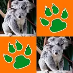 Animals Memory Game | Indus Appstore | App Icon