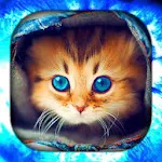 Kitten Wallpaper Live HD/3D/4K | Indus Appstore | App Icon