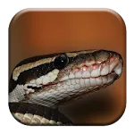 Snake Sounds | Indus Appstore | App Icon