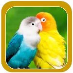 Beautiful Birds Wallpapers | Indus Appstore | App Icon