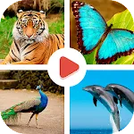 Animals Learning | Indus Appstore | App Icon