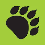 971 The Bear | Indus Appstore | App Icon