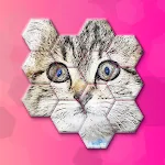 Cats Jigsaw! - Hexa Puzzle | Indus Appstore | App Icon