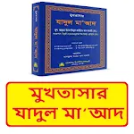 মুখতাসার যাদুল মাআদ ইসলামিক বই | Indus Appstore | App Icon