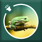 Frog Sounds | Indus Appstore | App Icon