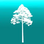 Arboreal - Height of Tree | Indus Appstore | App Icon