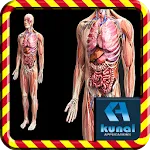 Human Anatomy | Indus Appstore | App Icon