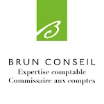 Brun Conseil | Indus Appstore | App Icon