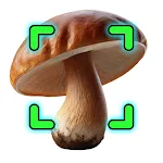 Mushroom Identification | Indus Appstore | App Icon