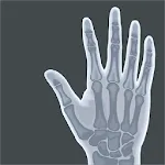 Acupuncture Voll Atlas | Indus Appstore | App Icon