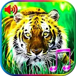 3D Animals Sounds & Wallpapers | Indus Appstore | App Icon