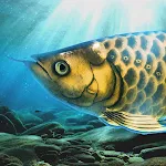 Arowana raising from fry | Indus Appstore | App Icon