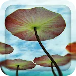 3D Water Lilies Live Wallpaper | Indus Appstore | App Icon