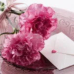 Carnation for Mum - Wallpapers | Indus Appstore | App Icon