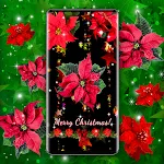 Poinsettia 4K Christmas Flower | Indus Appstore | App Icon