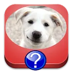 Dog Breeds Quiz | Indus Appstore | App Icon