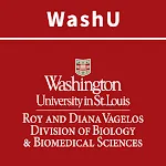 WashU DBBS | Indus Appstore | App Icon