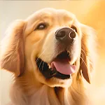 Golden Retriever Simulator | Indus Appstore | App Icon