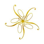 Plush Online Beauty Shopping | Indus Appstore | App Icon