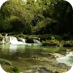 Forest Stream Live Wallpaper | Indus Appstore | App Icon