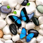 Butterfly Wallpaper | Indus Appstore | App Icon