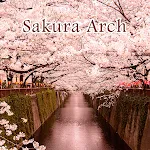 Sakura Arch Theme | Indus Appstore | App Icon