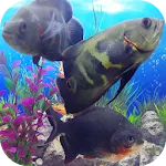 Oscar Fish Aquarium Video 3D | Indus Appstore | App Icon