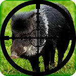 Wild Boar Hunting Calls | Indus Appstore | App Icon