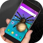 Spider in phone prank | Indus Appstore | App Icon