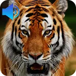 Animal Sounds | Indus Appstore | App Icon