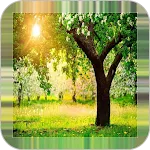 Tree Backgrounds | Indus Appstore | App Icon