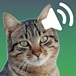 Sounds of cats | Indus Appstore | App Icon